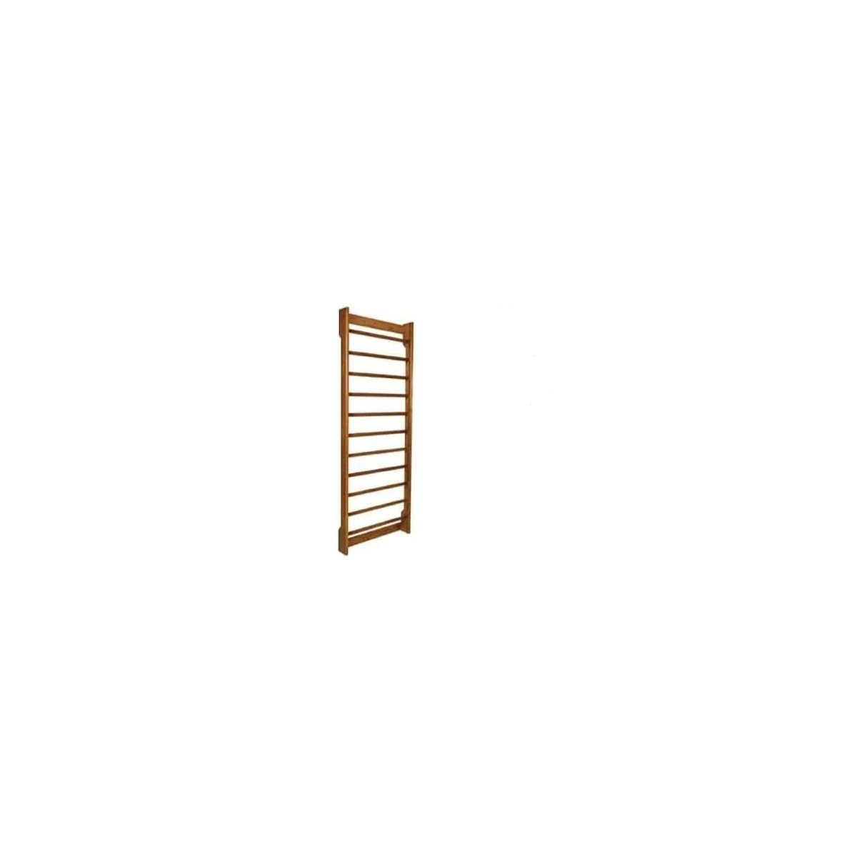 Fizyoclimb Wall Bars